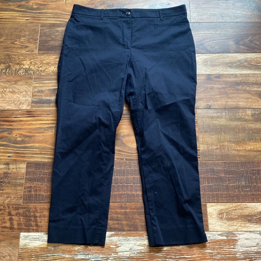 Ann Taylor Pants